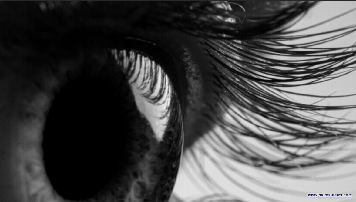 معجزة طبية.. علماء يطورون علاجا يعيد البصر المفقود